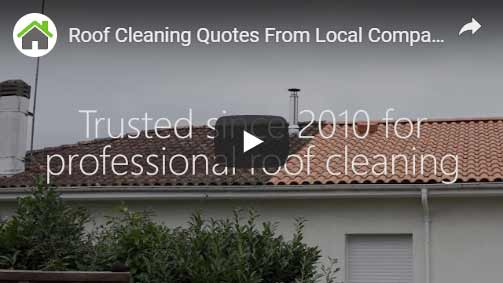 Roof Cleaning Naperville - Home Soft Washing Services